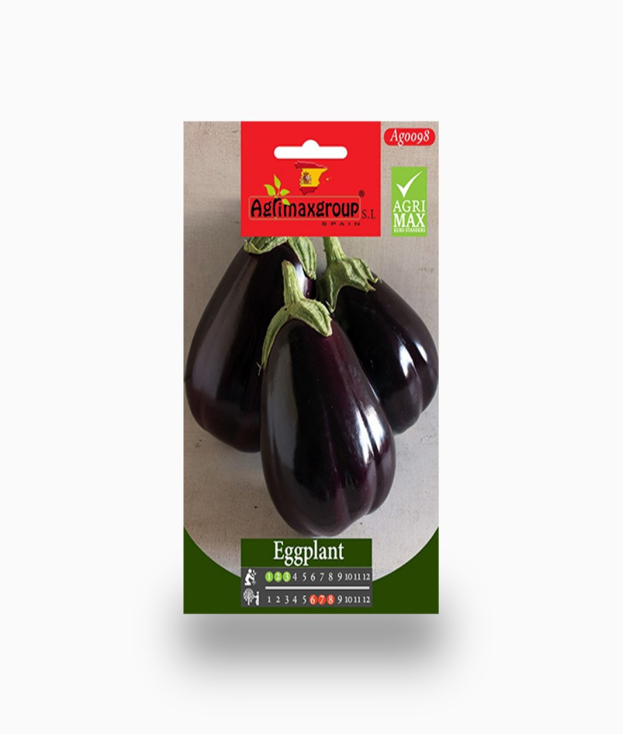 Egg Plant1