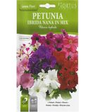 Petunia Imbrida Nana in Mix1