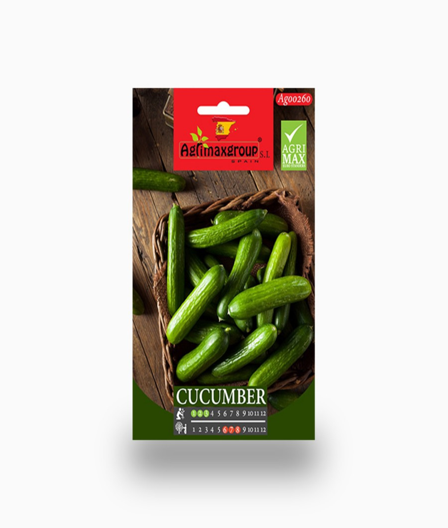 cucumber-00221-a
