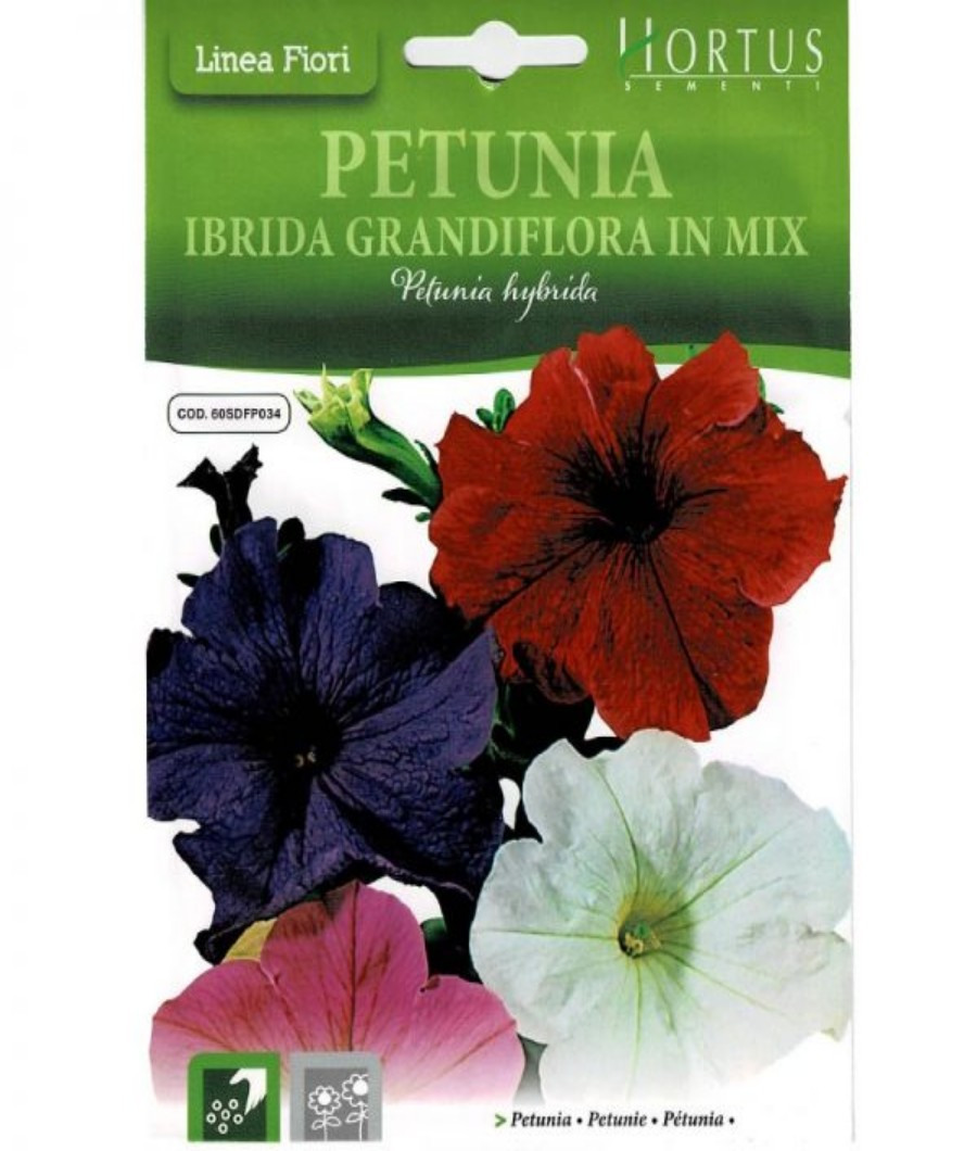 Petunia Ibrida Grandflora in Mix1