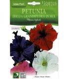 Petunia Ibrida Grandflora in Mix1