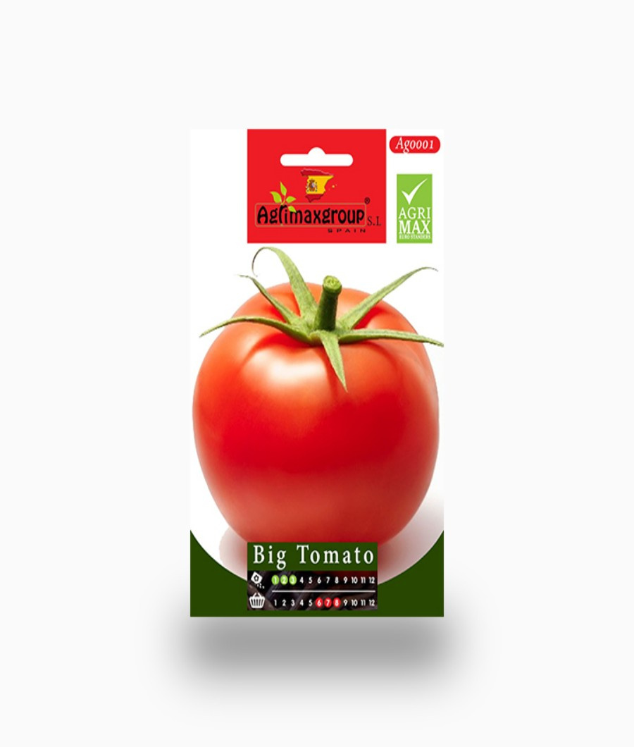 Big Tomato1