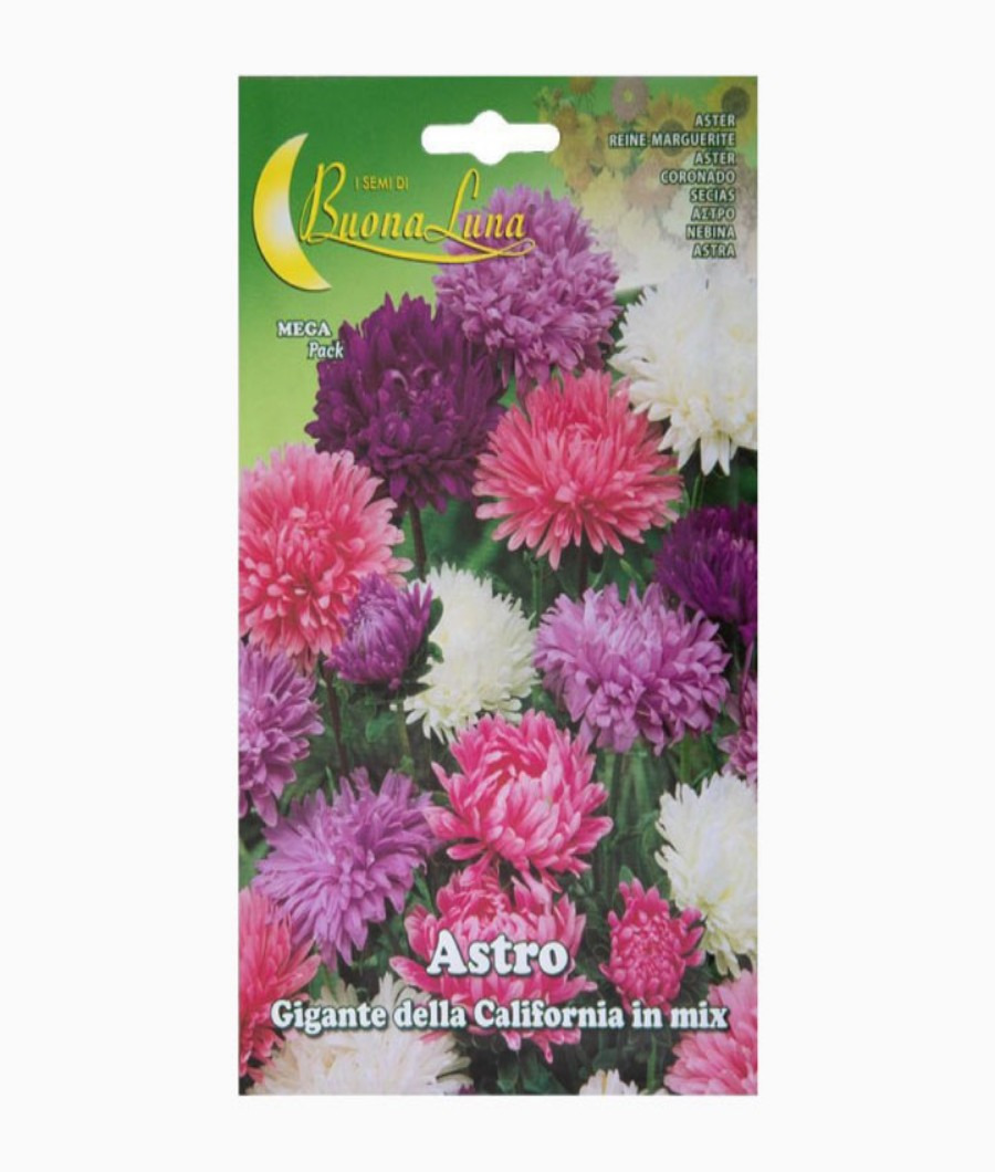 Astro Gigante della California in Mix1