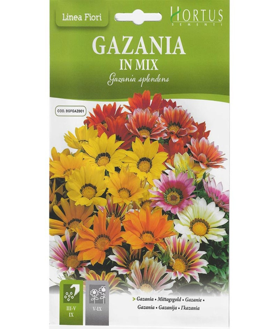 Gazania in mix1