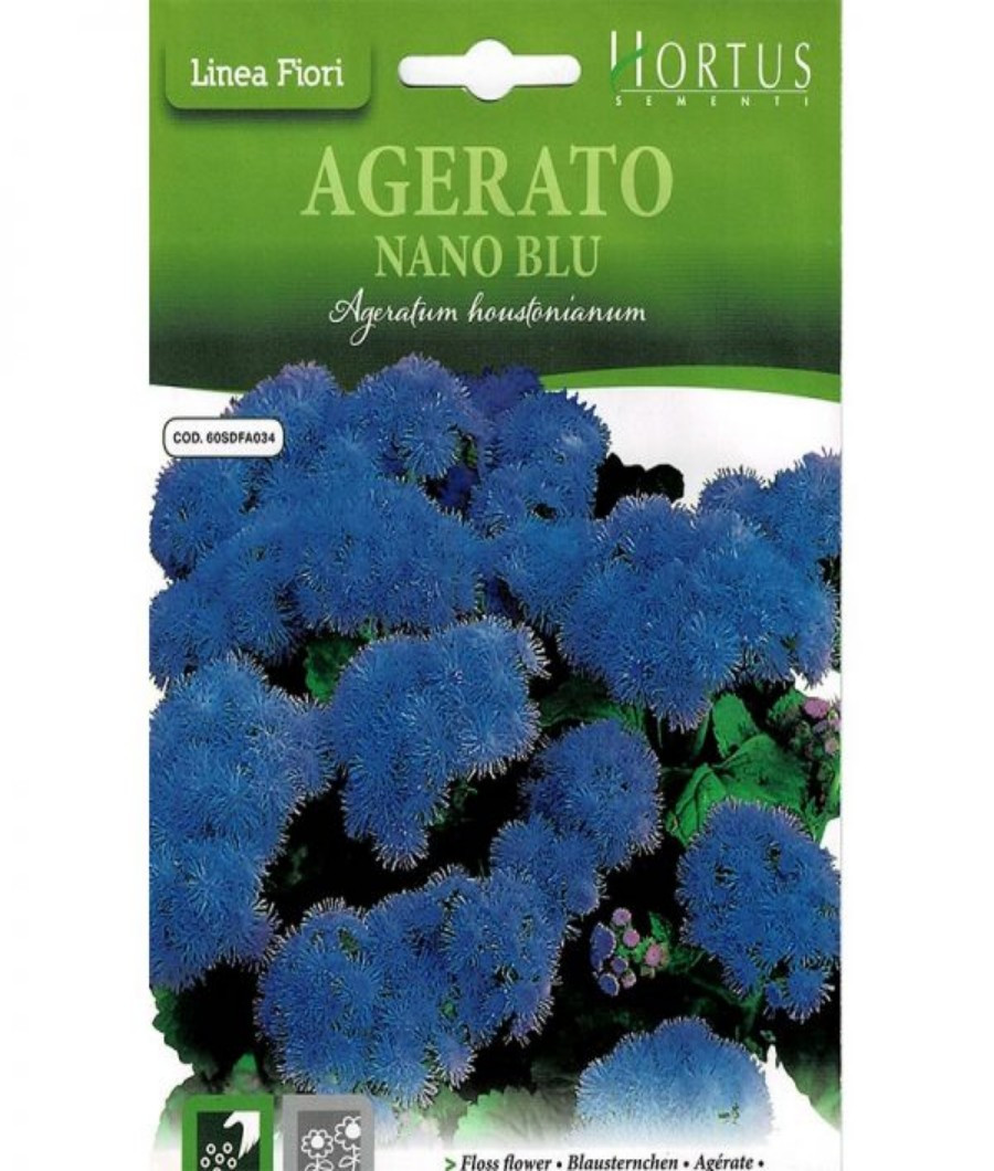 Agerato Nano Blu1