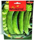 Armenian Cucumber1