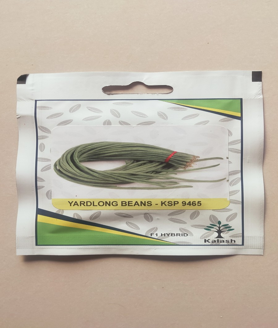 Yardlong Beans-KSP 9465 F11