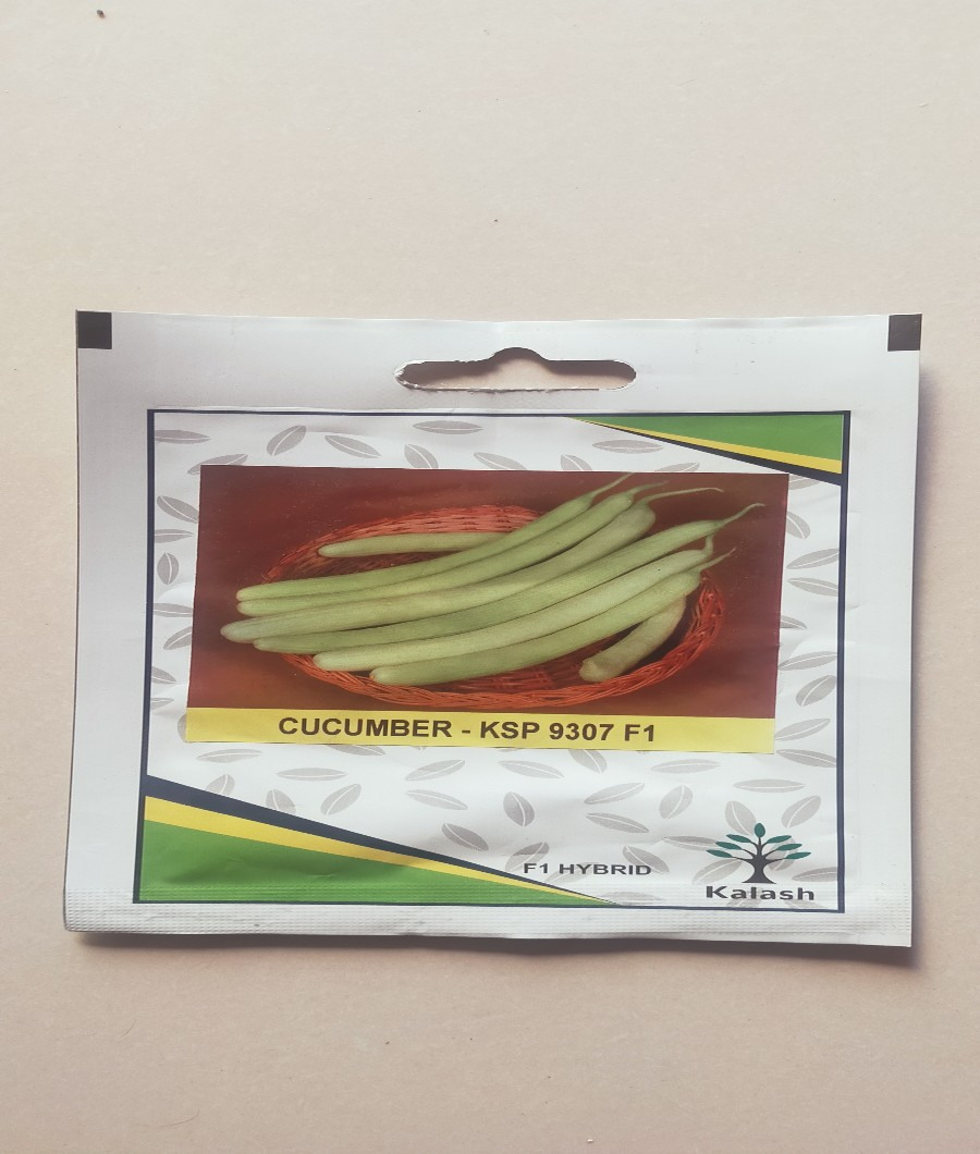 Cucumber F1 Hybrid-KSP 93071