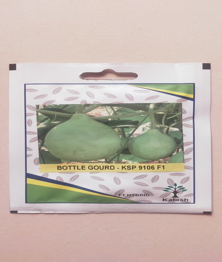 Bottle Gourd-KSP 9106 F11