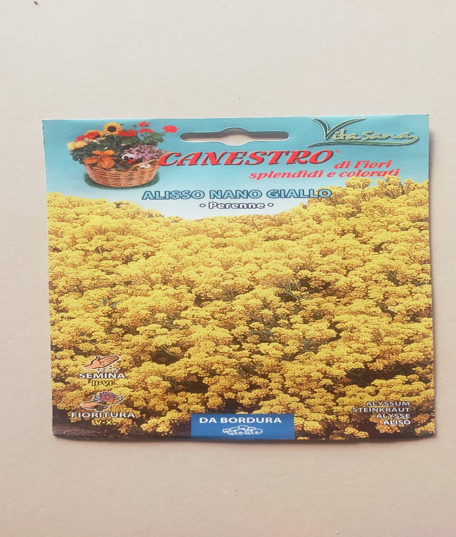 Alisso Nano Giallo1