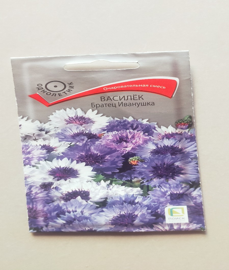 Lavender colored Flower1