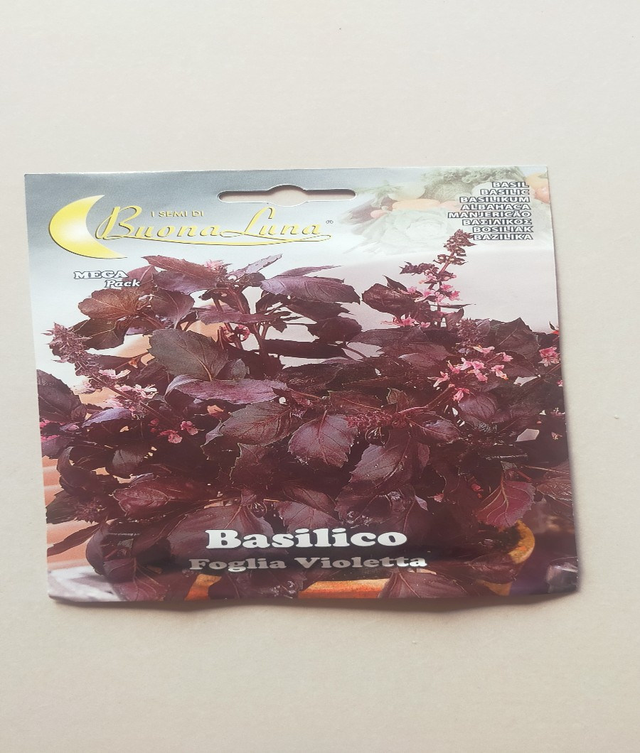 Basilico Foglia Violetta1