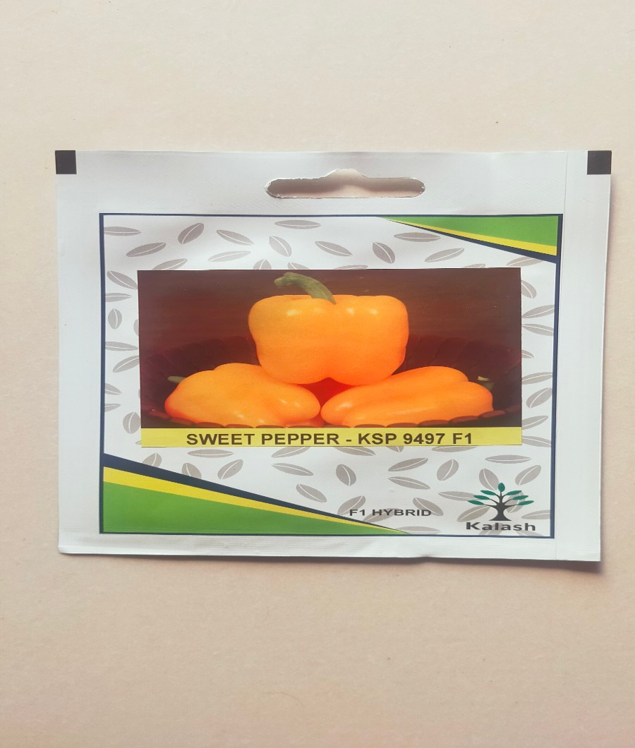 Sweet Pepper -KSP9497 F11