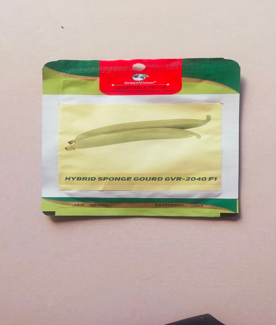 Hybrid Sponge Gourd GVR-3040 F11