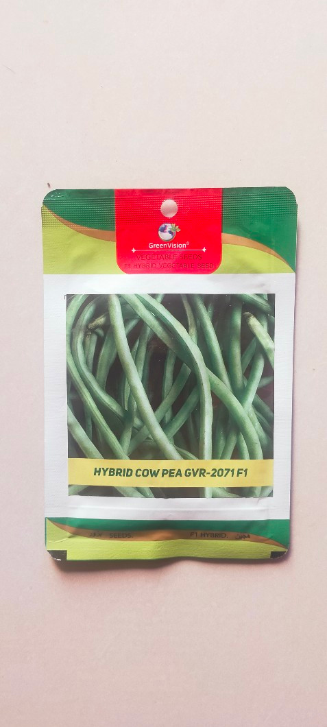 Cow Pea1