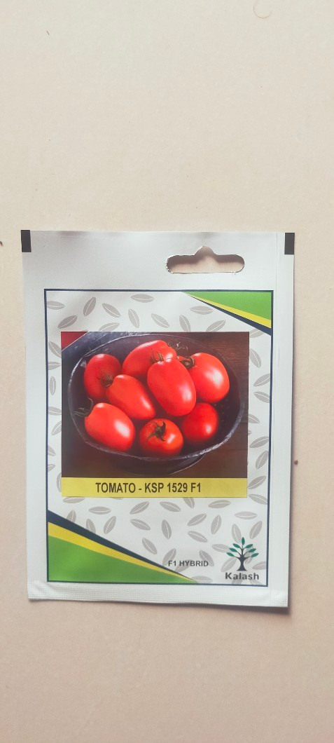 Tomato 1