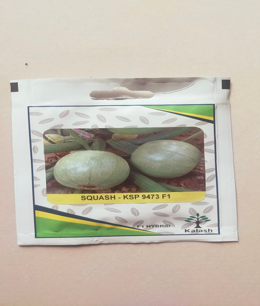 Squash- KSP 9473 F12