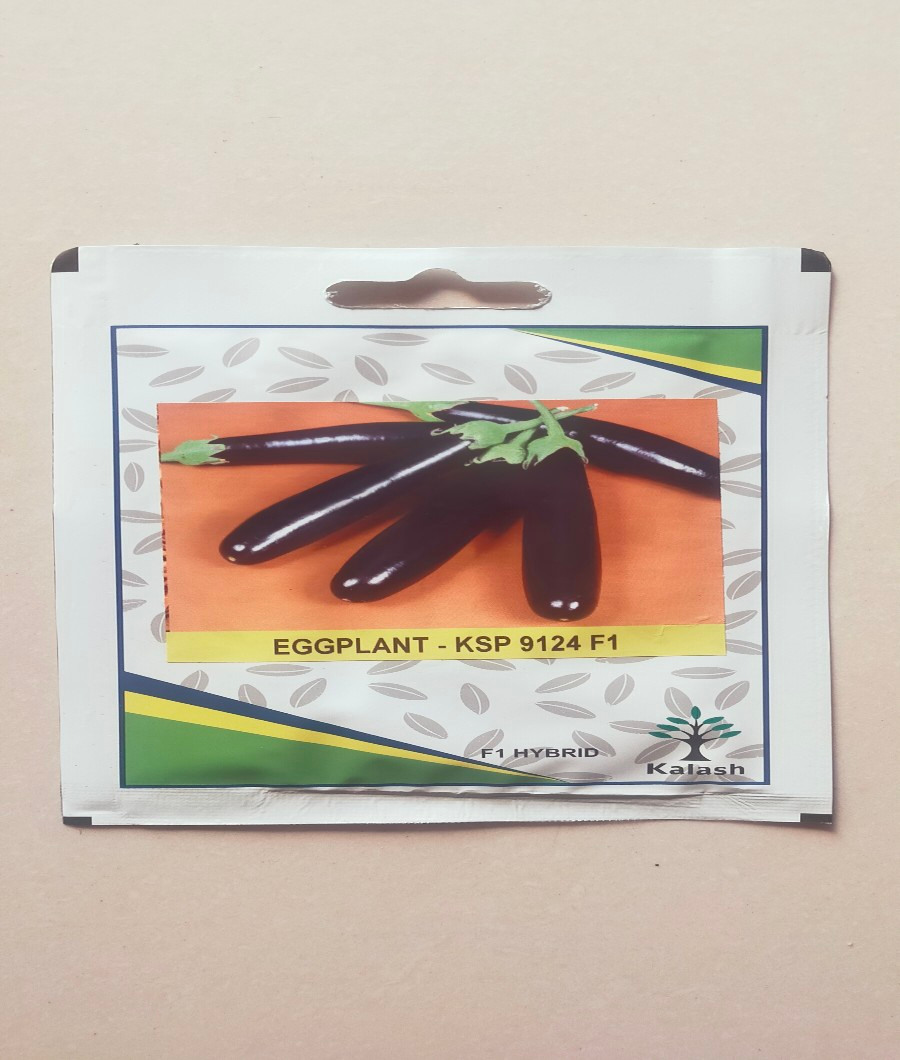 Egg Plant -KSP 9124 F11