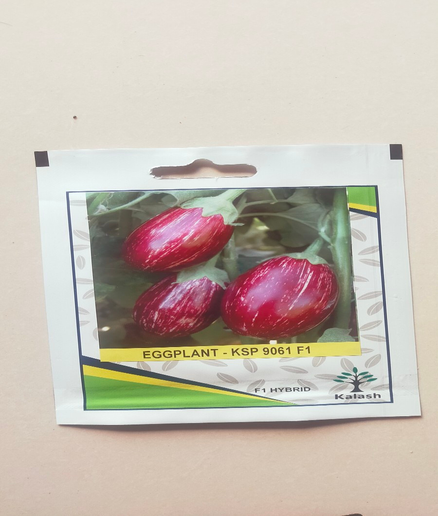Egg Plant -KSP90611