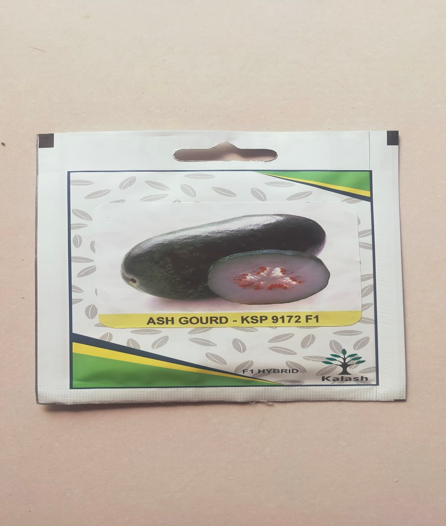 Ash Gourd KSP9172- F11
