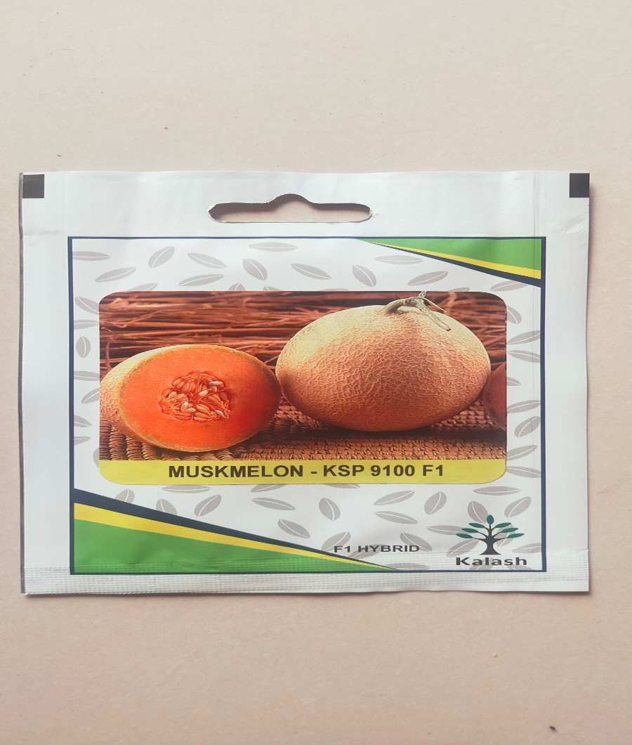 Muskmelon -KSP9100 F11