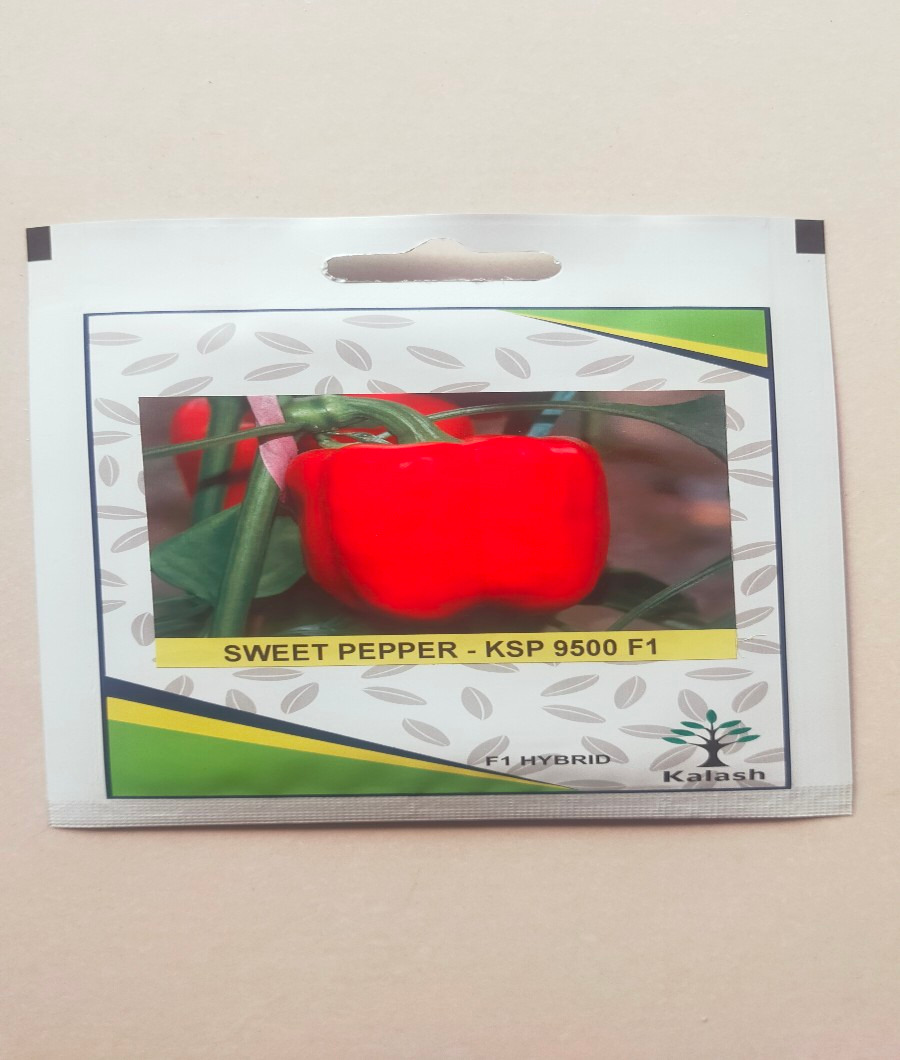 Sweet Pepper KSP-9500 F11