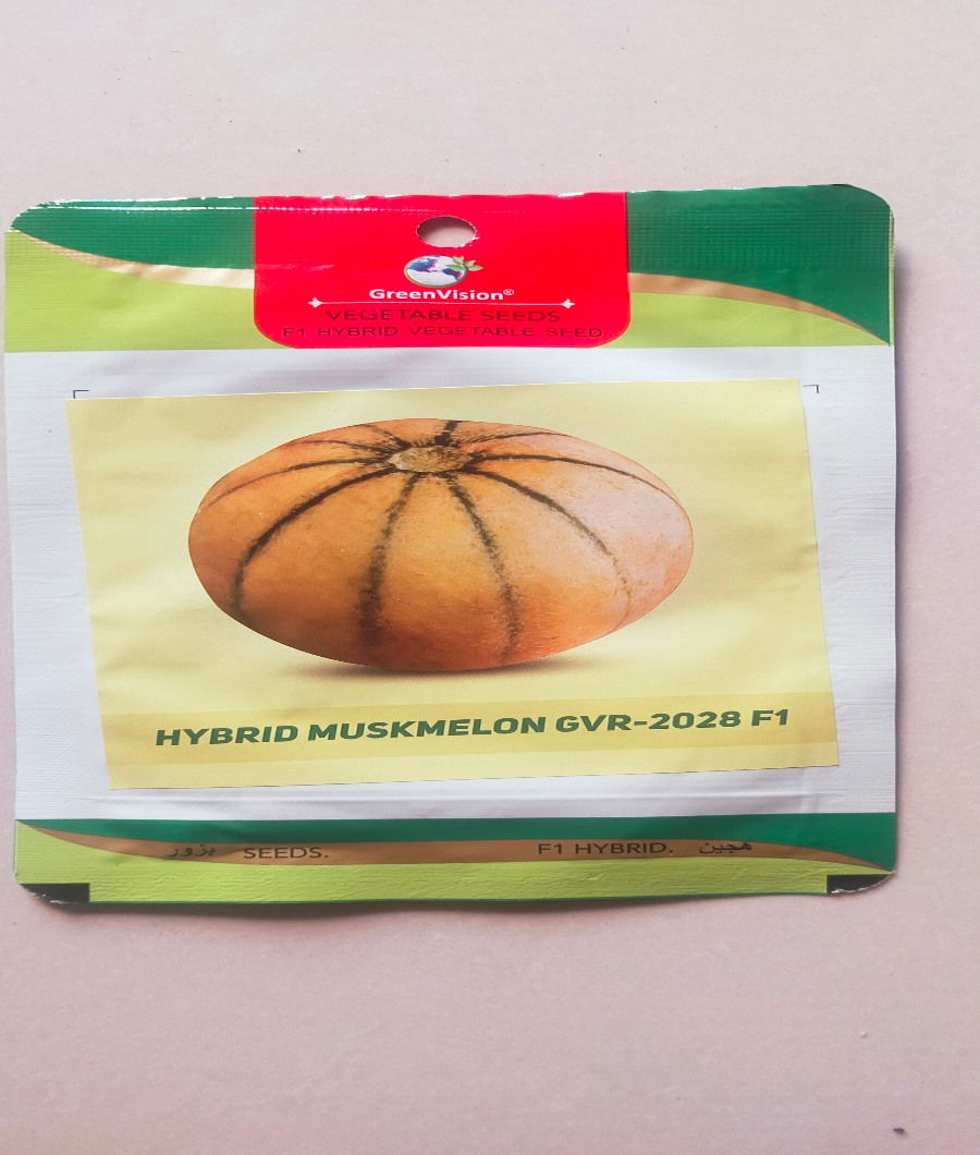 Muskmelon Hybrid GVR-2028 F11