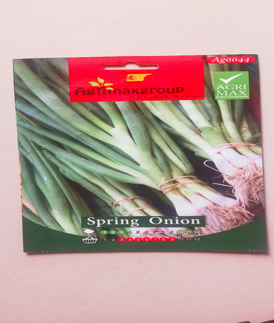 Spring Onion 1