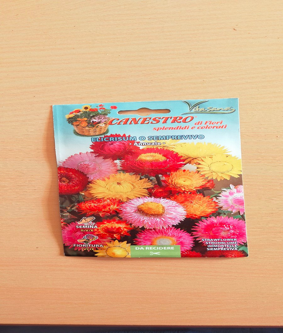 Elicrisum o Semprevivo1