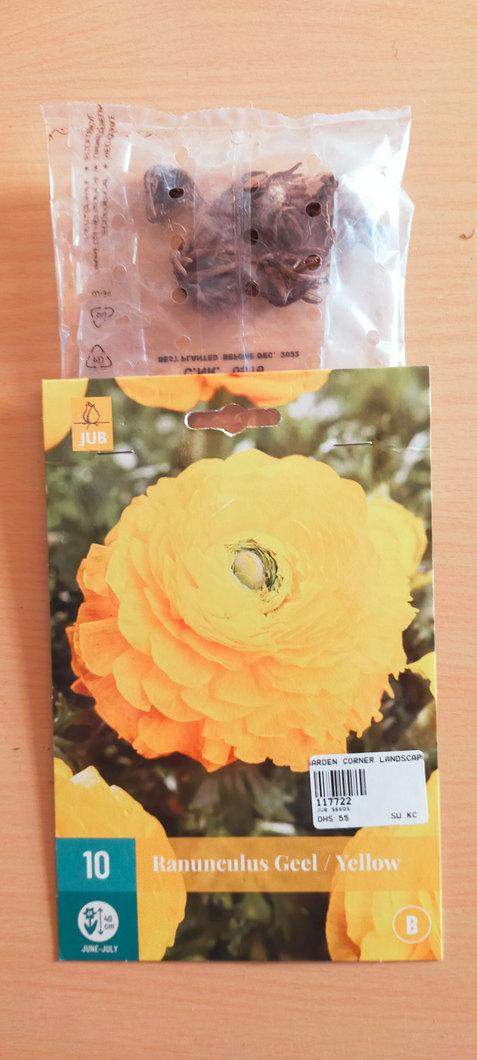 Yellow Ranunculus Geel1
