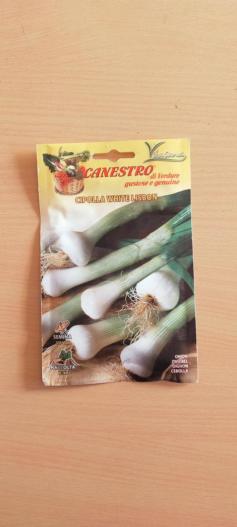Cipolla White Lisbon1