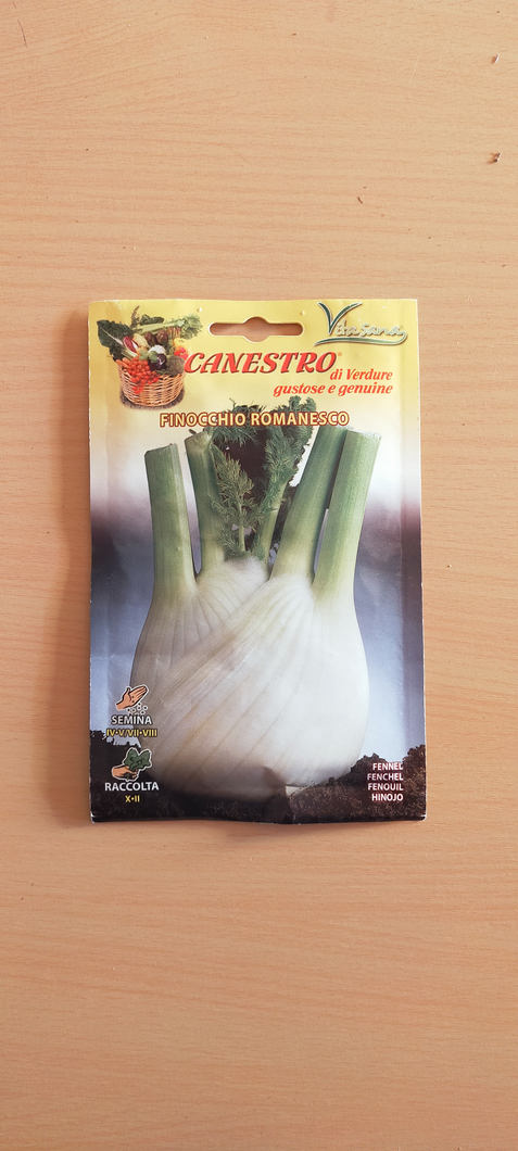 Finocchio Romanesco1