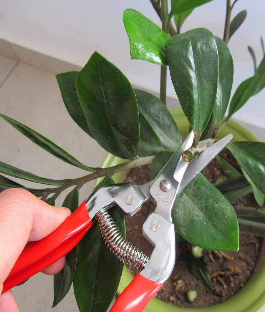 Stainless Fruit pruning Scissors2