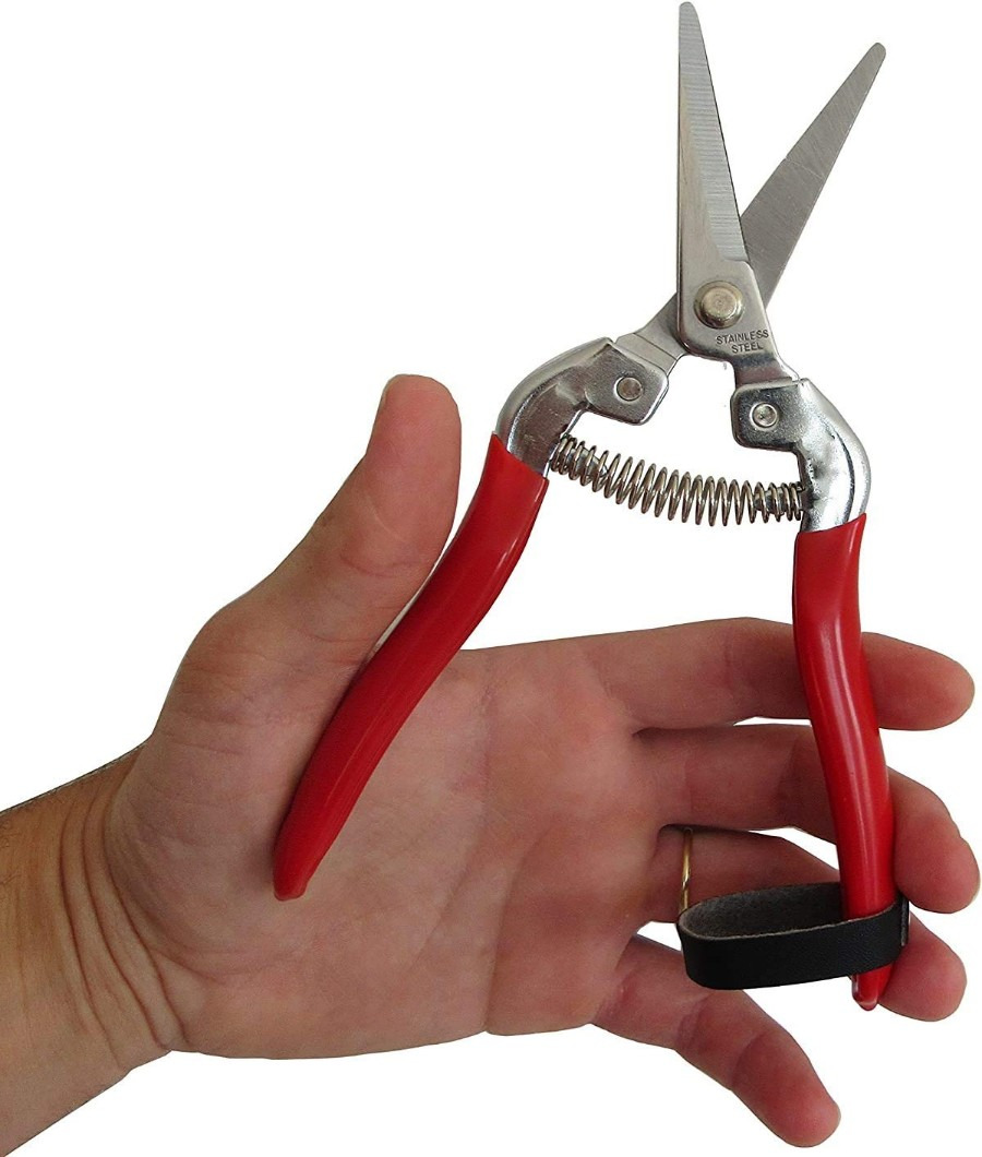 Stainless Fruit pruning Scissors4
