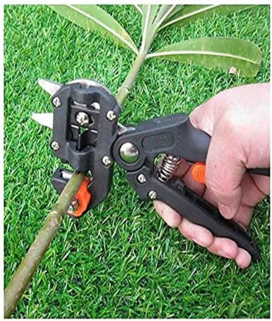 Grafting Shear3