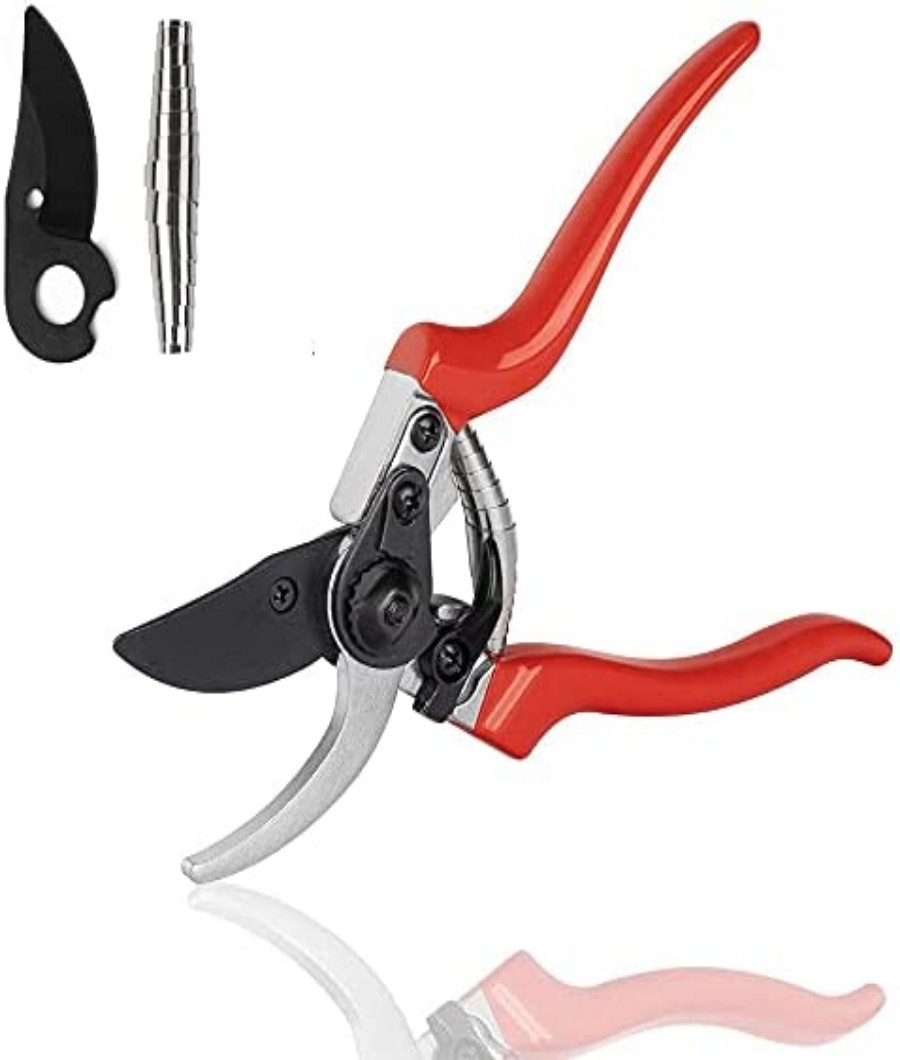 Pruning Shear 8 inch1