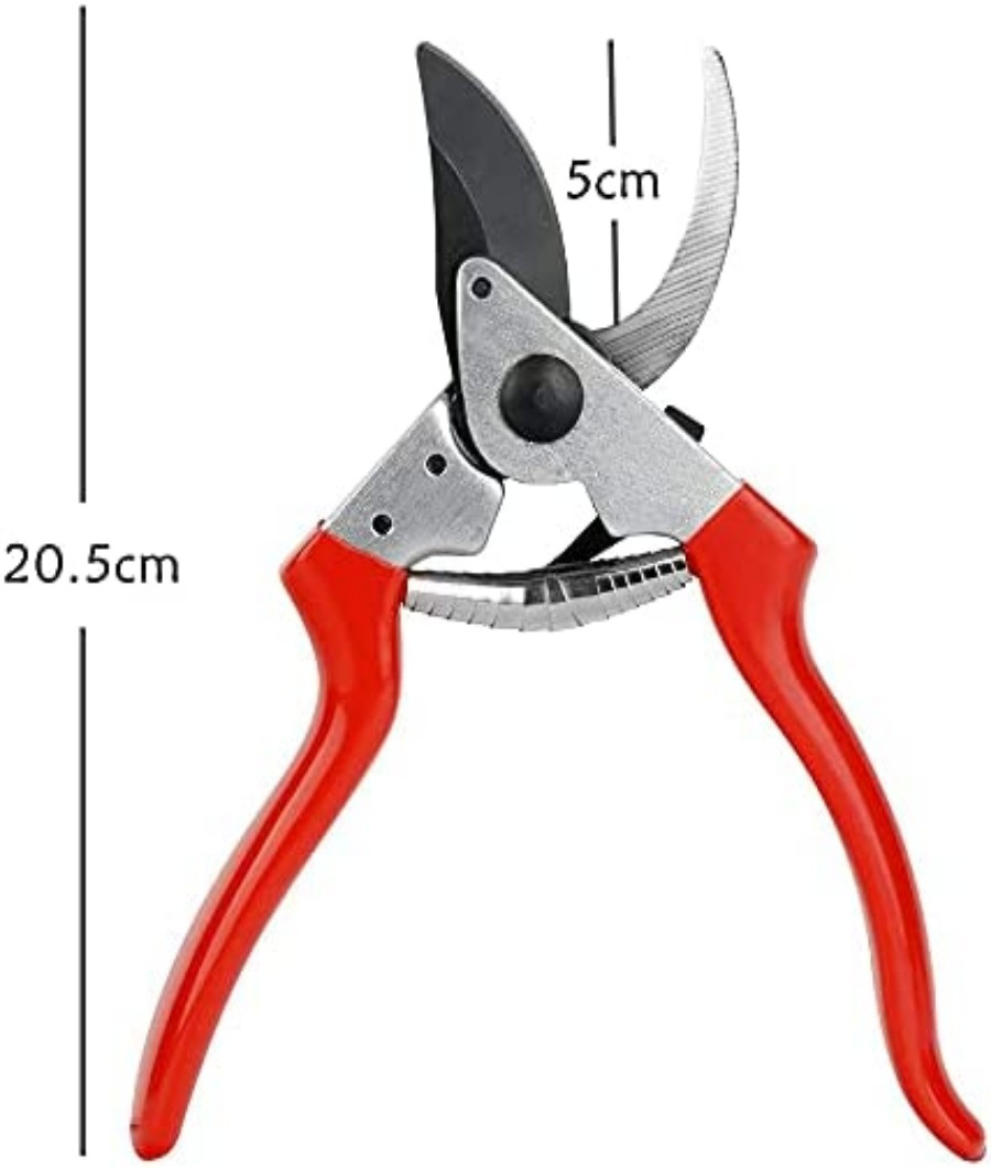 Pruning Shear 8 inch3