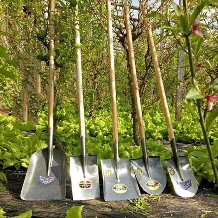 Long Shewal with Curved Bottom3