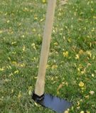 Hoe with wooden handle2