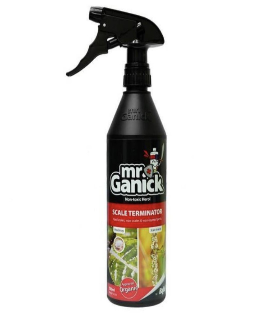 Mr. Ganick Organic spray mealybugs 500 ml1