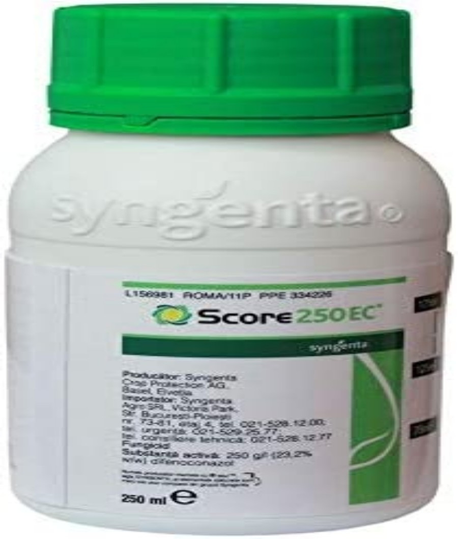 score-250-ec-250-ml-00389-a