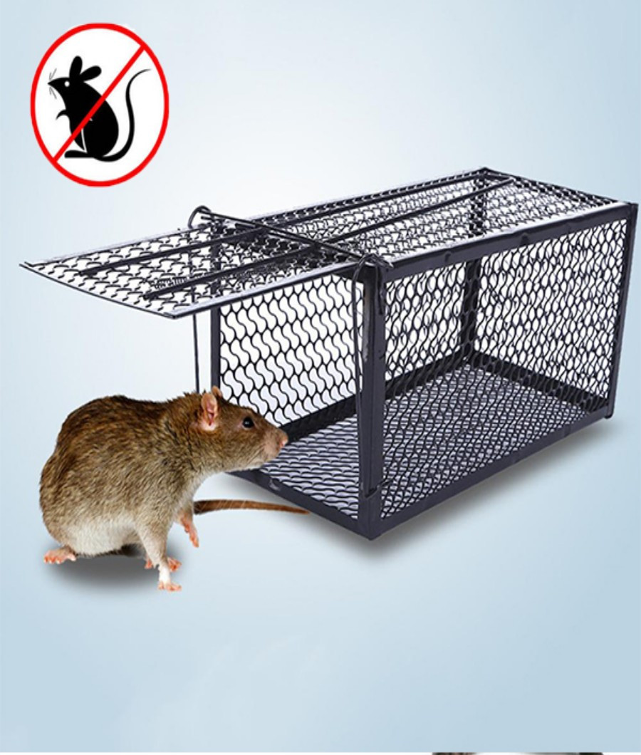 Rat Trap1
