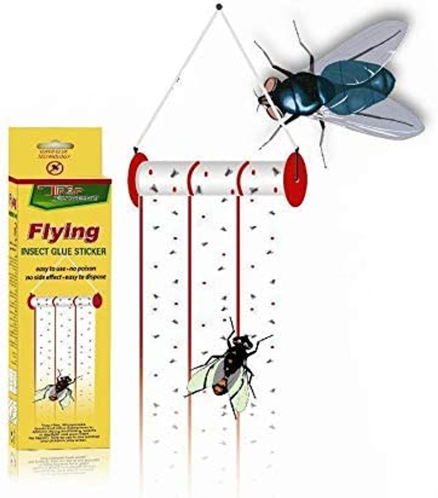 Fly pest 2024 control traps