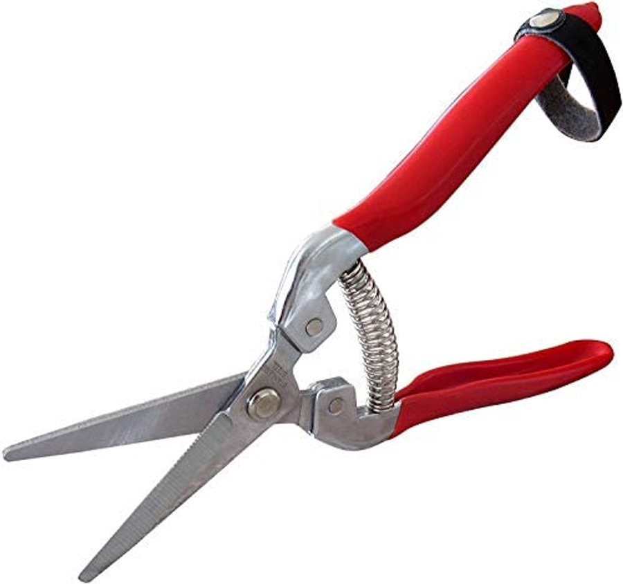 Pruning Snips 2