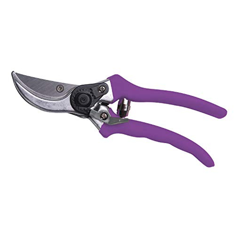 Pruner  Taiwan pink color 3