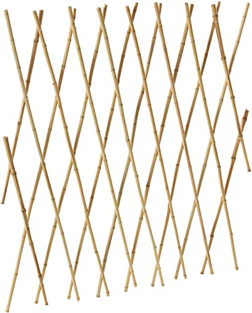 Bamboo Trellis1