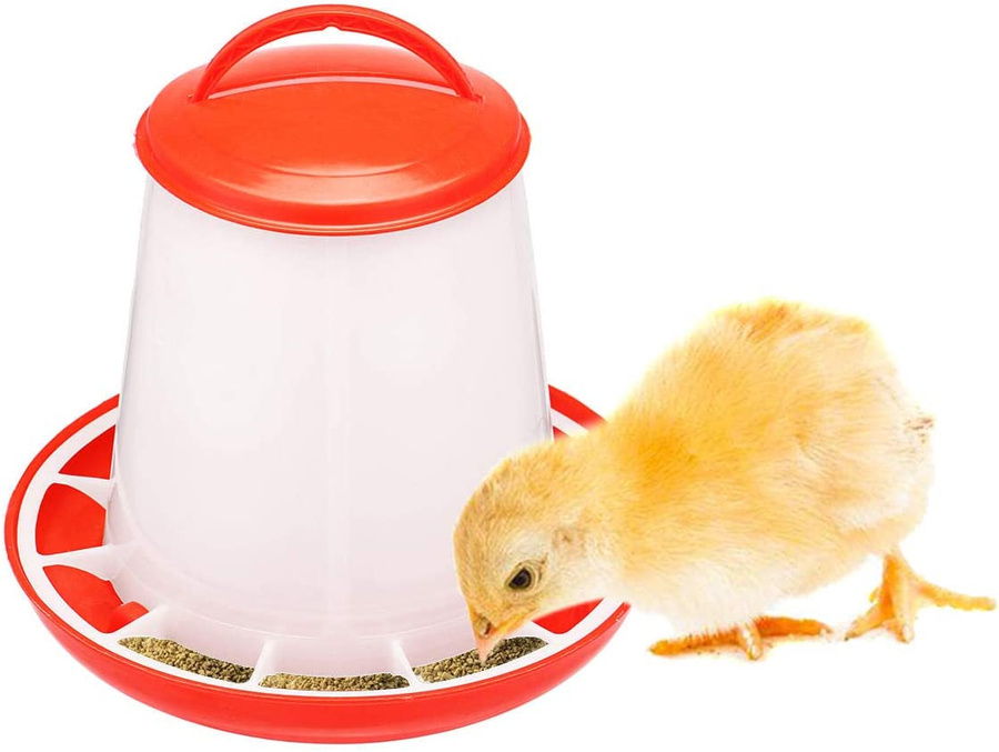 Bird Food Feeder3