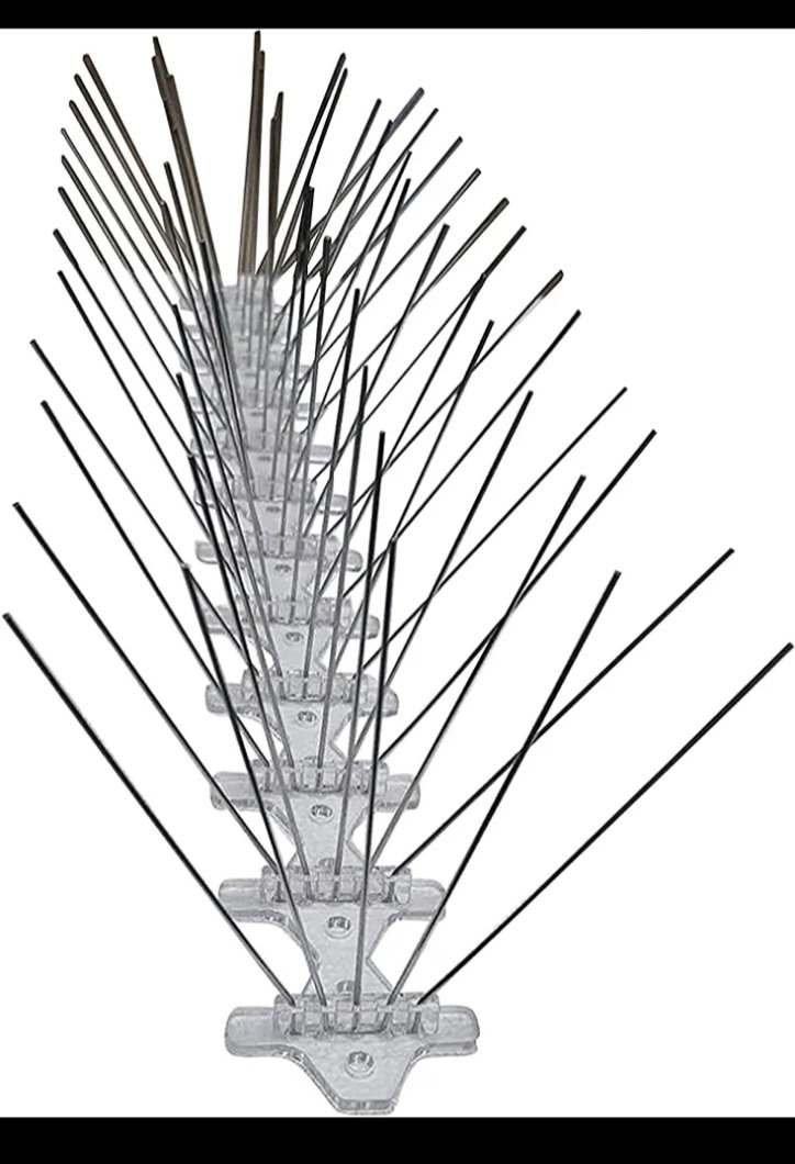 Bird Spike with 5 spike2