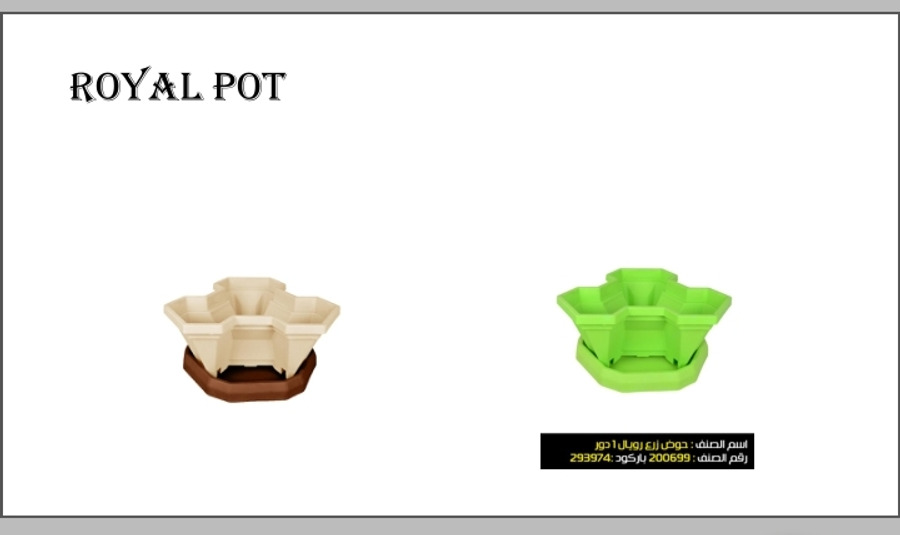 basin-royal-big-00587-a