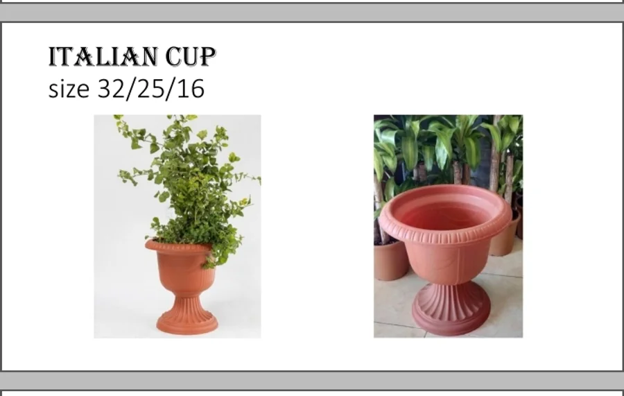 bahrain-cup-pot-00584-a
